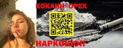 крисы Владимир
