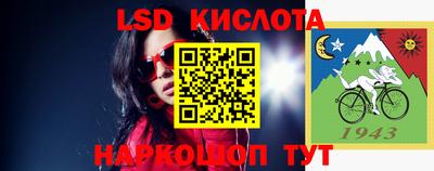 крисы Владимир