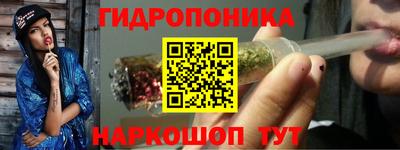 крисы Владимир
