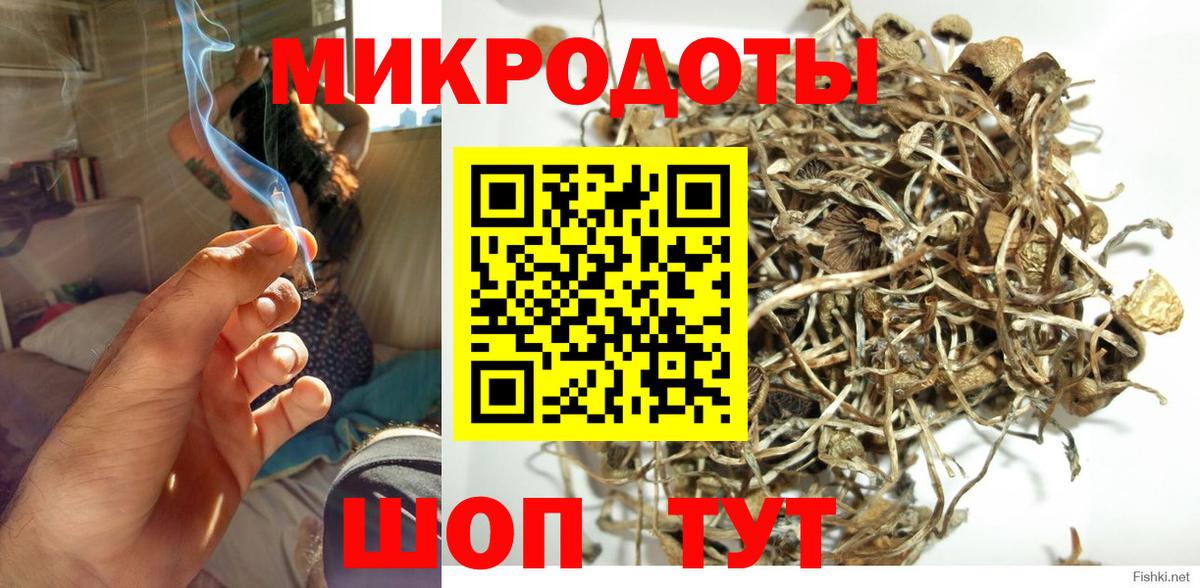 Галлюциногенные грибы мухоморы Белогорск