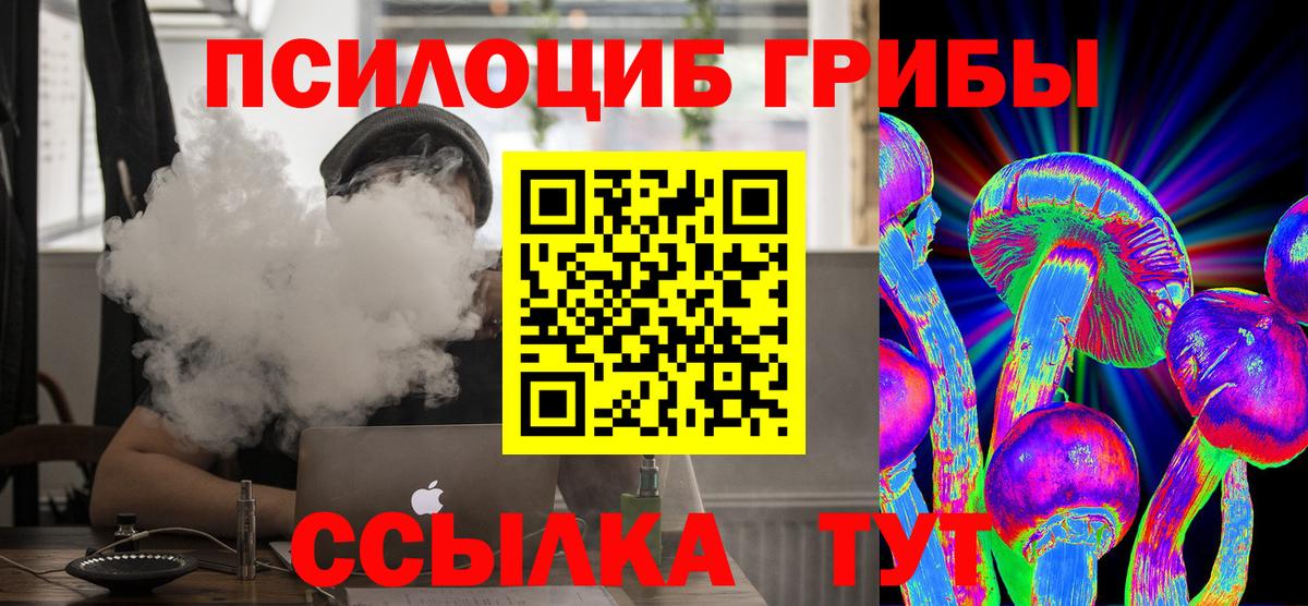 Псилоцибиновые грибы мицелий  Псилоцибиновые грибы мицелий  Белогорск  Вход с VPN 